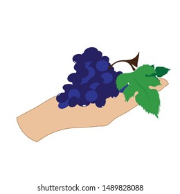 Vector illustration of a hand with grapes on white background. Symbol of fruit, vegetarian, food, crop, vegan.
