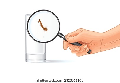 Ilustración vectorial de la lupa de mano a través de vidrio de agua clara donde las larvas de mosquito son claramente visibles, reproducción de mosquitos, aisladas en blanco. Beba agua limpia para higiene, buena salud.