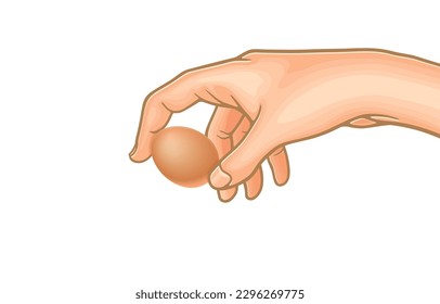 Vector illustration of hand holding chicken egg,hand upside down,about to crack an egg,isolated on white background.Important organs used to hold objects in daily life,such as food,various utensils.