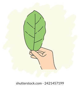 A vector illustration of hand holding green leaf