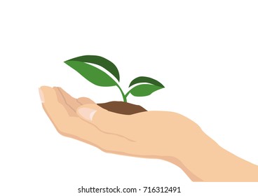 A vector illustration of a hand holding a green seedling. Love farming and nature.