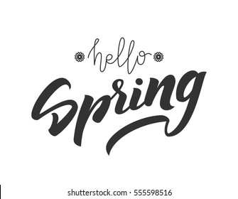 Vector illustration: Hand lettering of Hello Spring. Handwritten modern brush calligraphy design. 
