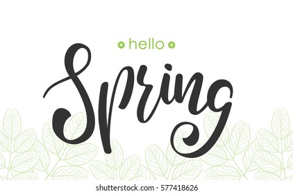 Vector illustration: Hand lettering  of Hello Spring on leaves sketch background. Hand drawn modern brush calligraphy design. 