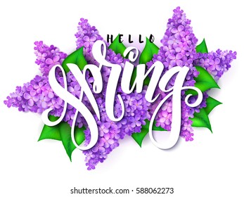 vector illustration of hand lettering - hello spring on a background of blooming lilac branches.