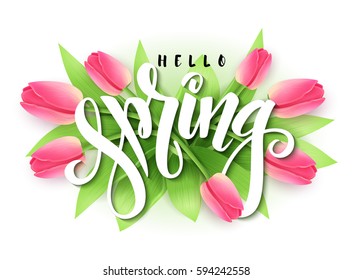 vector illustration of hand lettering - hello spring on a background of blooming tulip branches.