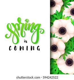 vector illustration of hand lettering poster - spring is coming with paper sheet on a background of blooming anemone flower.