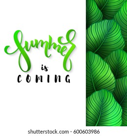 vector illustration of hand lettering poster - summer is coming with paper sheet on a background calathea leaves.