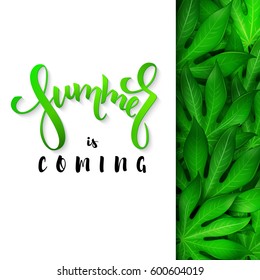 vector illustration of hand lettering poster - summer is coming with paper sheet on a background aralia leaves.