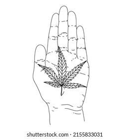 Vector illustration of hand and marijuana leaf. Cannabis leaf sketch isolated on white background.
