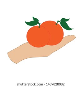 Vector illustration of a hand with orange on white background. Symbol of fruit, vegetarian, food, crop, fresh, vegan.