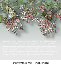 Vector illustration of hand painted flowers Rangoon creeper, colorful and butterfly background.