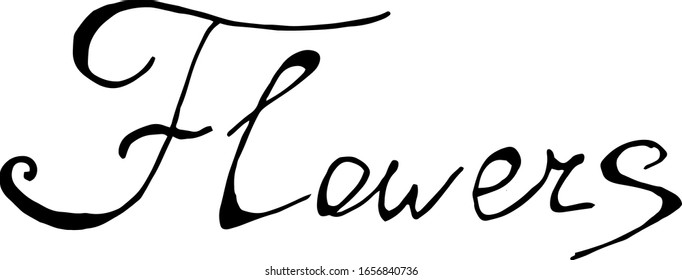  Ilustración vectorial. Flores de palabra pintadas a mano. Inscripción caligráfica en pluma negra. Elemento para crear diseño.