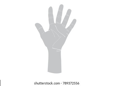 Vector illustration of hand palm isolated.