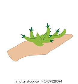 Vector illustration of a hand with pea on white background. Symbol of vegetable, vegetarian, food, crop, fresh, vegan.