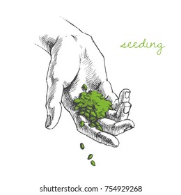 Vector illustration of hand planting seeds  Handful of grains. Sketch style