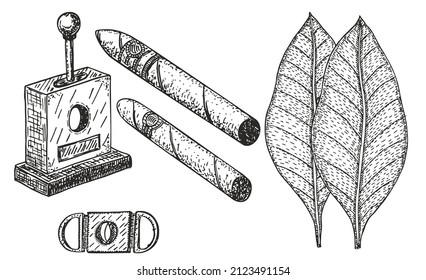 Vector illustration with hand rolled cigars in sketch style. Cigars set engraving vector illustration. Tobacco leaves for cigars. Classical smoking set. Best Cuban quality. Hand drawn sketch.