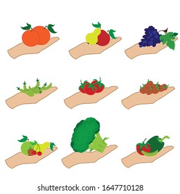 Vector illustration of hand show fruit and vegetable on white background. Symbol of healthy food.