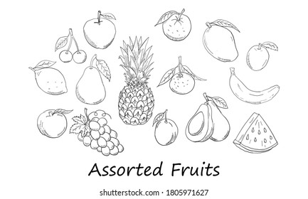 Ilustración vectorial del boceto manual del icono de frutas variadas aisladas en fondo blanco.