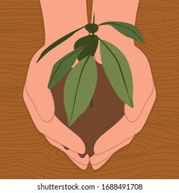 Vector illustration of a hand and a sprout of a young tree on a wooden table background. Drawing of human hands and a green plant