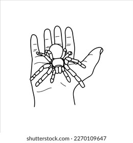 vector illustration of hand with tarantula
