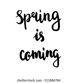 vector illustration with hand written brush pen lettering text Spring is coming, modern calligraphy