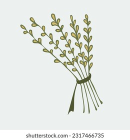 Vector illustration of a hand-drawn bundle of herbs tied with a rope