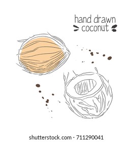 Vector illustration of hand-drawn coconut for the logo or packaging. Organic illustration for a postcard / banner template / background / poster. Line art designs for vegan menu, cafe, bar.