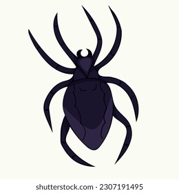 Vector illustration of hand-drawn dark purple spider