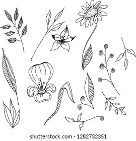 Vector illustration - hand-drawn gel pen delicate, elegant flowers. Irises. daisies, leaves in an unusual style