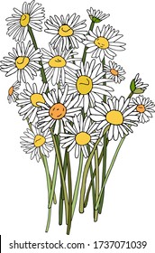 Vector Illustration, handgezeichnete Grafiken, ein Bouquet von bezaubernden weißen Gänseblümchen, Camomiles, farbenfroh. Sommer blühend, blühend. Für eine Hochzeitseinladung, für einen Urlaub