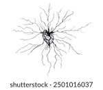 Vector illustration of hand-drawn human heart with roots on a light background. Heart shaped root