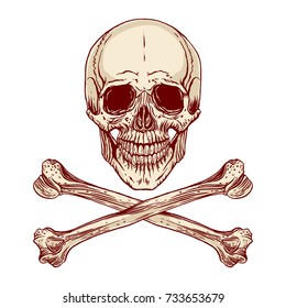 Vector illustration of hand-drawn human skull with crossed bones