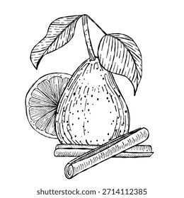Ilustración vectorial de pera dibujada a mano con canela y rodaja de limón en blanco y negro arte de línea. arte de garabatos perfecto para impresiones de alimentos, etiquetas de bebidas y arte culinario.