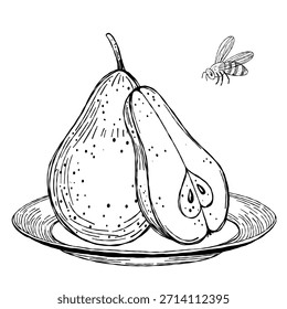 Ilustração vetorial de pera desenhada à mão com fatia e abelha em um prato na arte da linha preta e branca. Scribble arte perfeita para a decoração da cozinha, livros de colorir, ou layouts da receita.