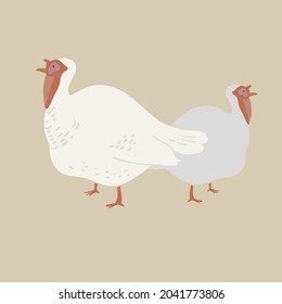 Vector illustration hand-drawn, poultry turkey, for print, fabric, cards, calendars.