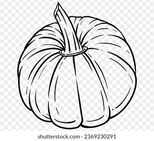 Vector illustration of a hand-drawn pumpkin in a brush-style, isolated on a transparent PNG background. Perfect for Halloween party backgrounds, poster templates, brochures, online ads.