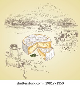 Vector illustration of a hand-drawn sketch depicting a village, a farm, cows in a field, and milk cans. The illustration shows Brie cheese with white mold. Good for dairy products