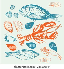 Vector illustration with Hand-drawn sketch of seafood. Fresh organic food: fish, lobster, dorado, oysters, squid, clams. Sketch on blue background.