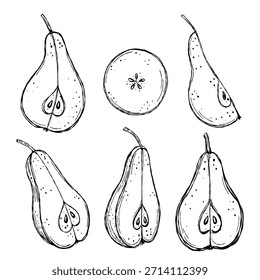 Vector illustration of hand-drawn sliced pears and cross-sections in black and white line art. Sketch art great for cookbooks, food prints, labels, and coloring pages.