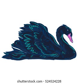 Vector illustration with handdrawn Swan