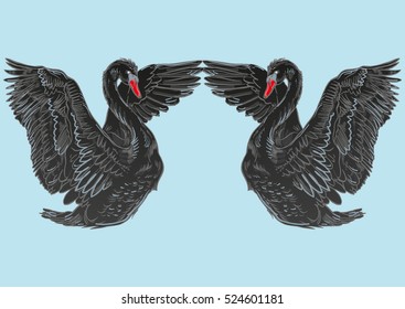 Vector illustration with handdrawn Swan