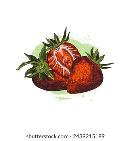 Vector illustration: hand-drawn three ripe red strawberries with green foliage, ripe and fresh. Strawberries in sketch style on a white background. Vibrant art for food design.