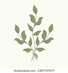 Vector illustration of hand-drawn twigs with leaves