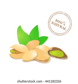 Vector illustration of a handful of pistachio. Pistachio in a shell, shelled half, crushed pistachio leaves. Appetizing, delicious nut image element for design packing food products, healthy eating