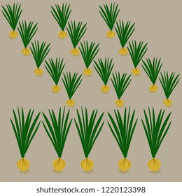 Vector illustration of handmade, artistic, yellow bow, green on a light brown background. Cute design. Appetizing cards from the garden.