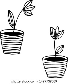 vector illustration of a hand-made drawing. Simple primitive flower in pot. Lines, strokes, Doodle style. Cut coloring book.