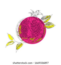  Ilustración vectorial. Dibujo granado pintado a mano. Bordes negros con manchas amarillas. Pomegranato seccional contra un punto de frambuesa brillante. Ilustración estilizada para el diseño.
