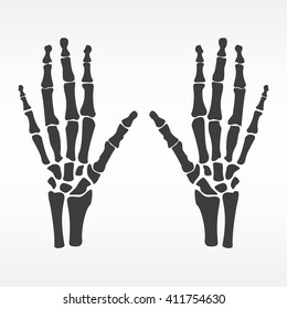 Vector illustration hands bones. Orthopedic human hand skeleton icon. Diagnostic center. Pair of human hands