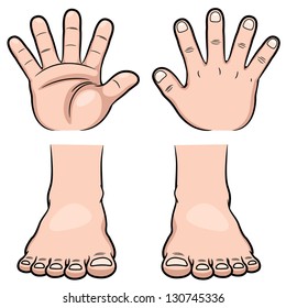 Vector illustration of hands and feet