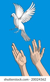 Vector illustration of hands and a flying dove